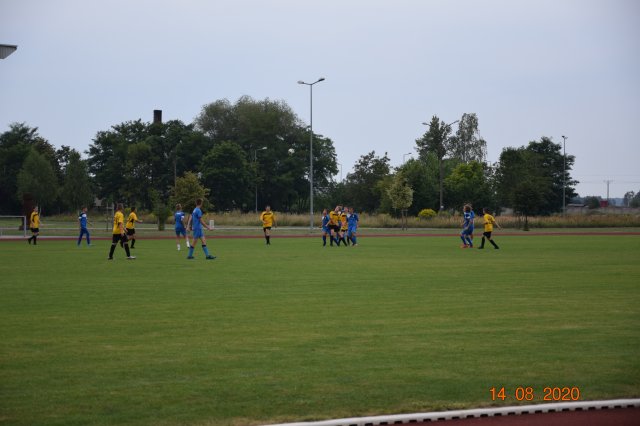 plewis 13